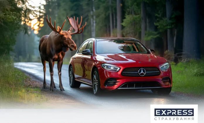 Майже 1,9 млн грн виплатила СК «Експрес Страхування» клієнтам у Європі